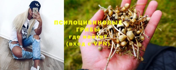 герыч Богородск