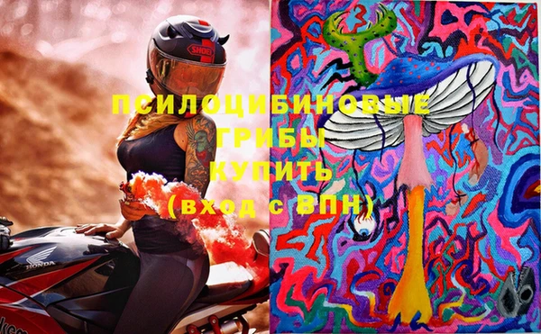 кокс Богородицк