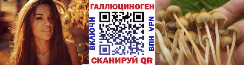дарк нет какой сайт  где купить наркоту  Калуга  Псилоцибиновые грибы MAGIC MUSHROOMS 