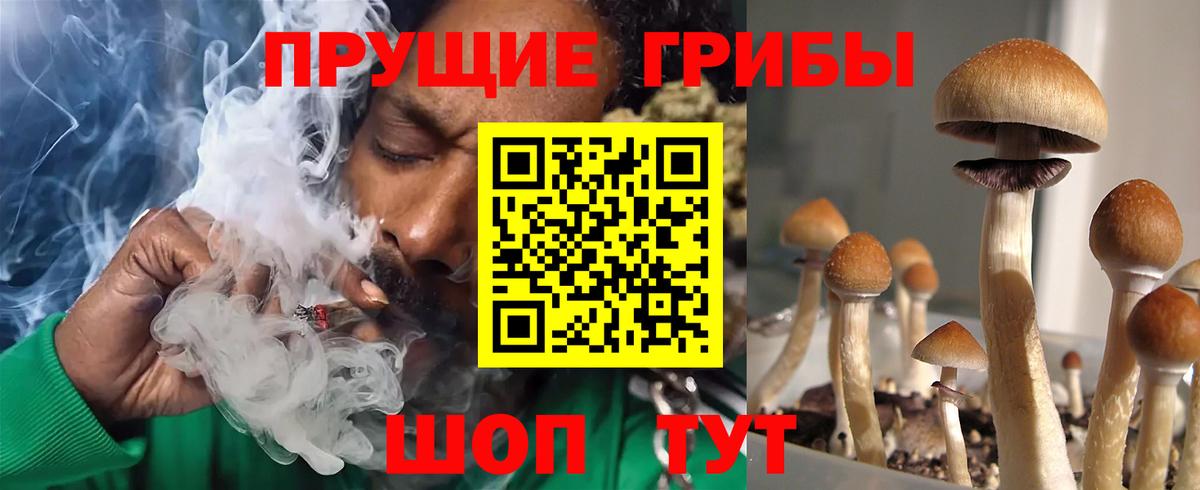Галлюциногенные грибы прущие грибы  Вход с VPN  Калуга 